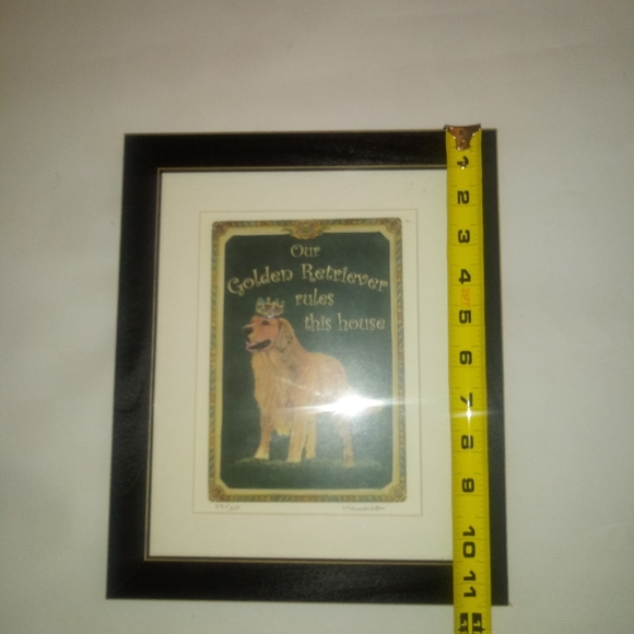 Jay Wennersten - Picture 6 of 6